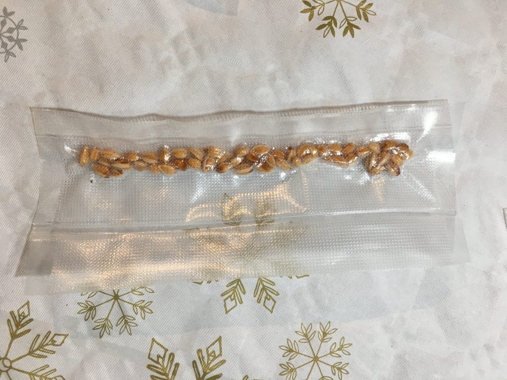 Erythroxylum Coca Seeds & Seedlings – Botanical Research & Taxonomy Dbotany